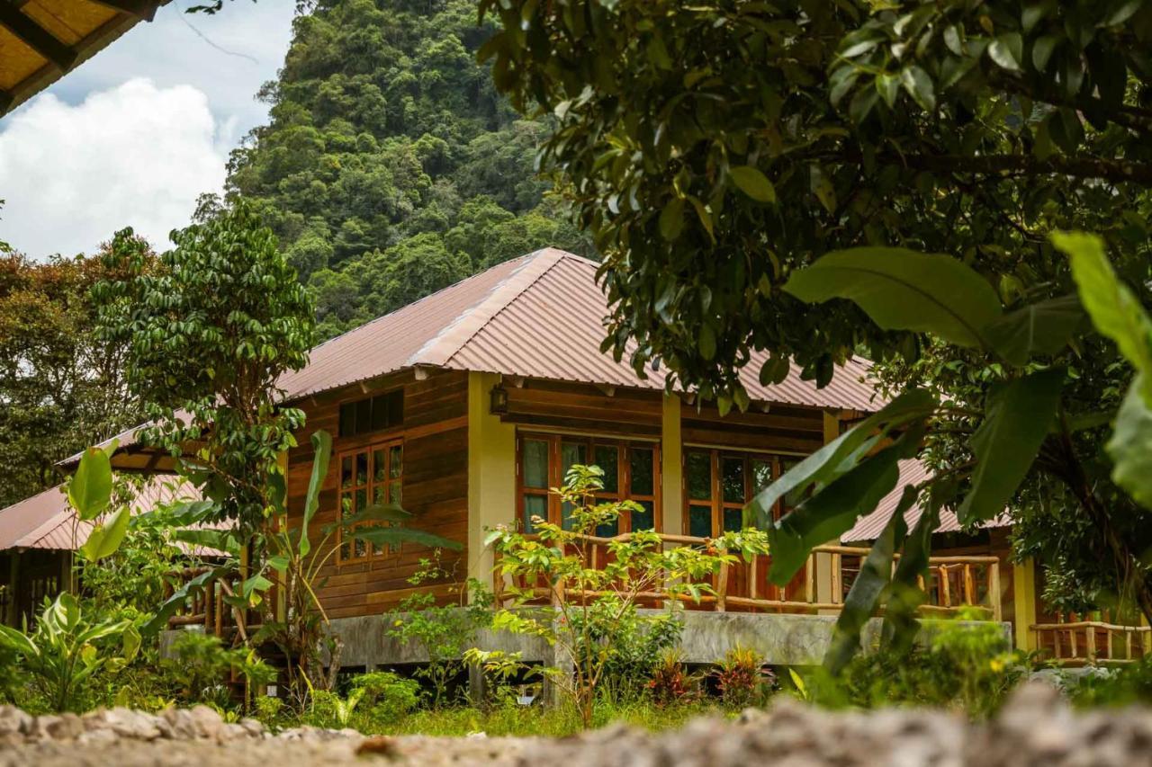 Monkey Mansion - Jungalows & Tours Khao Sok National Park Exteriör bild