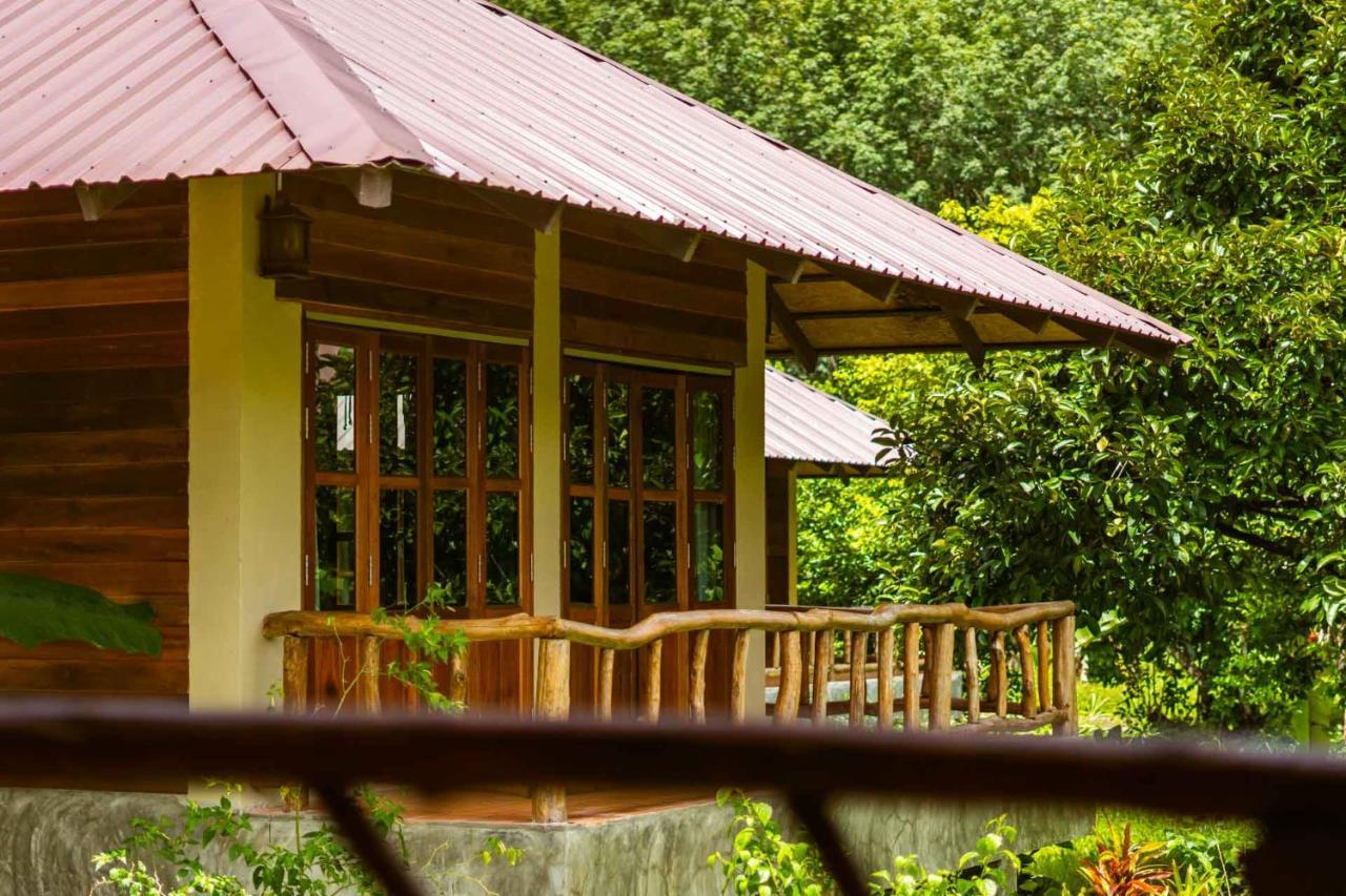 Monkey Mansion - Jungalows & Tours Khao Sok National Park Exteriör bild